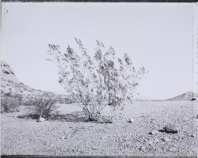 Mark Klett - artist photo